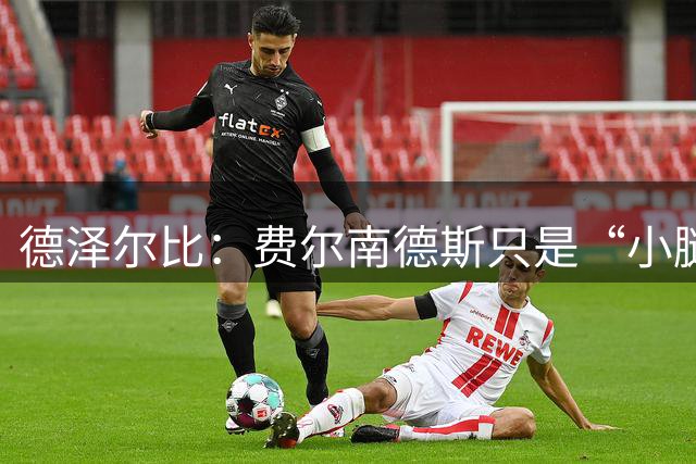 德泽尔比：费尔南德斯只是“小腿疲劳”，不冒险用人