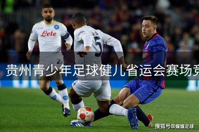 贵州青少年足球健儿省运会赛场竞逐梦想
